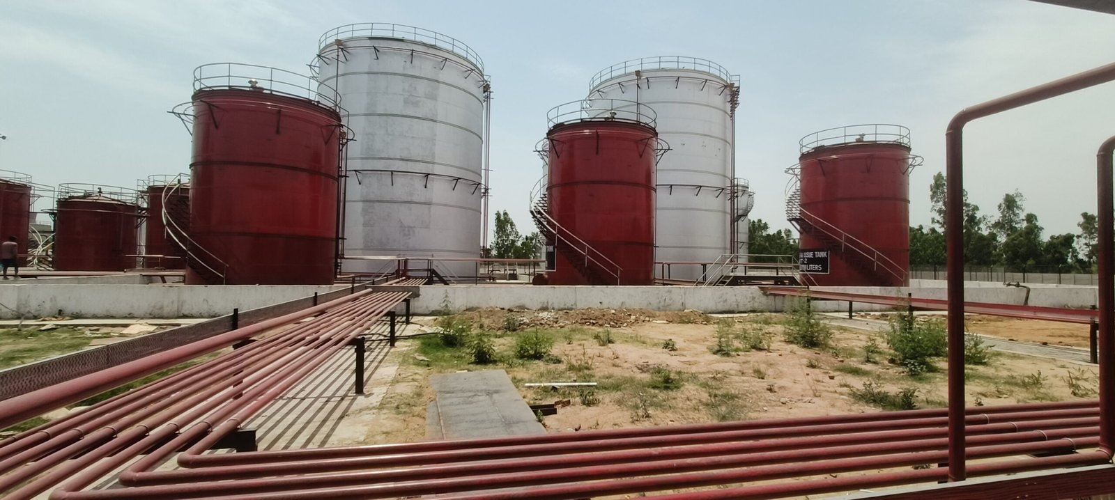 TRIVENI MNP