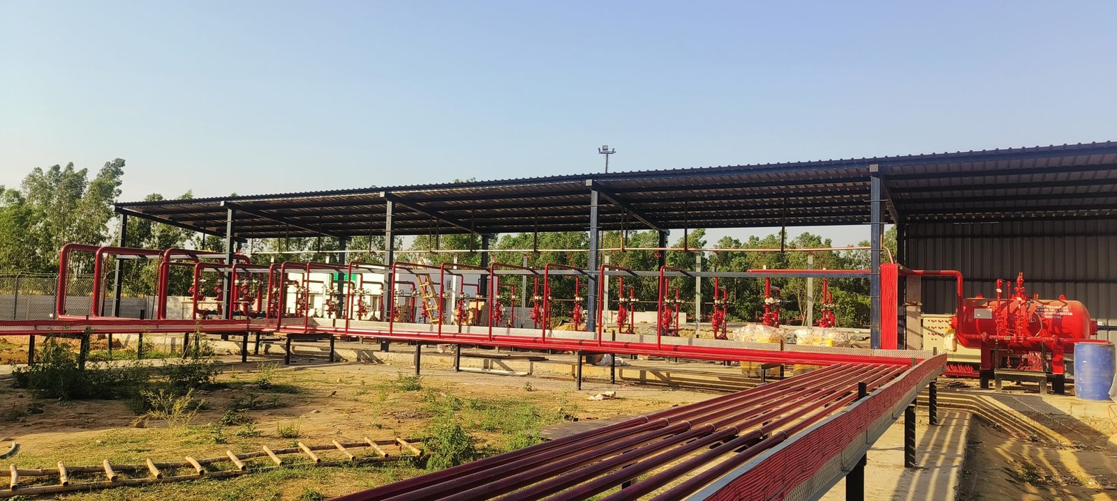 TRIVENI RANINANGAL